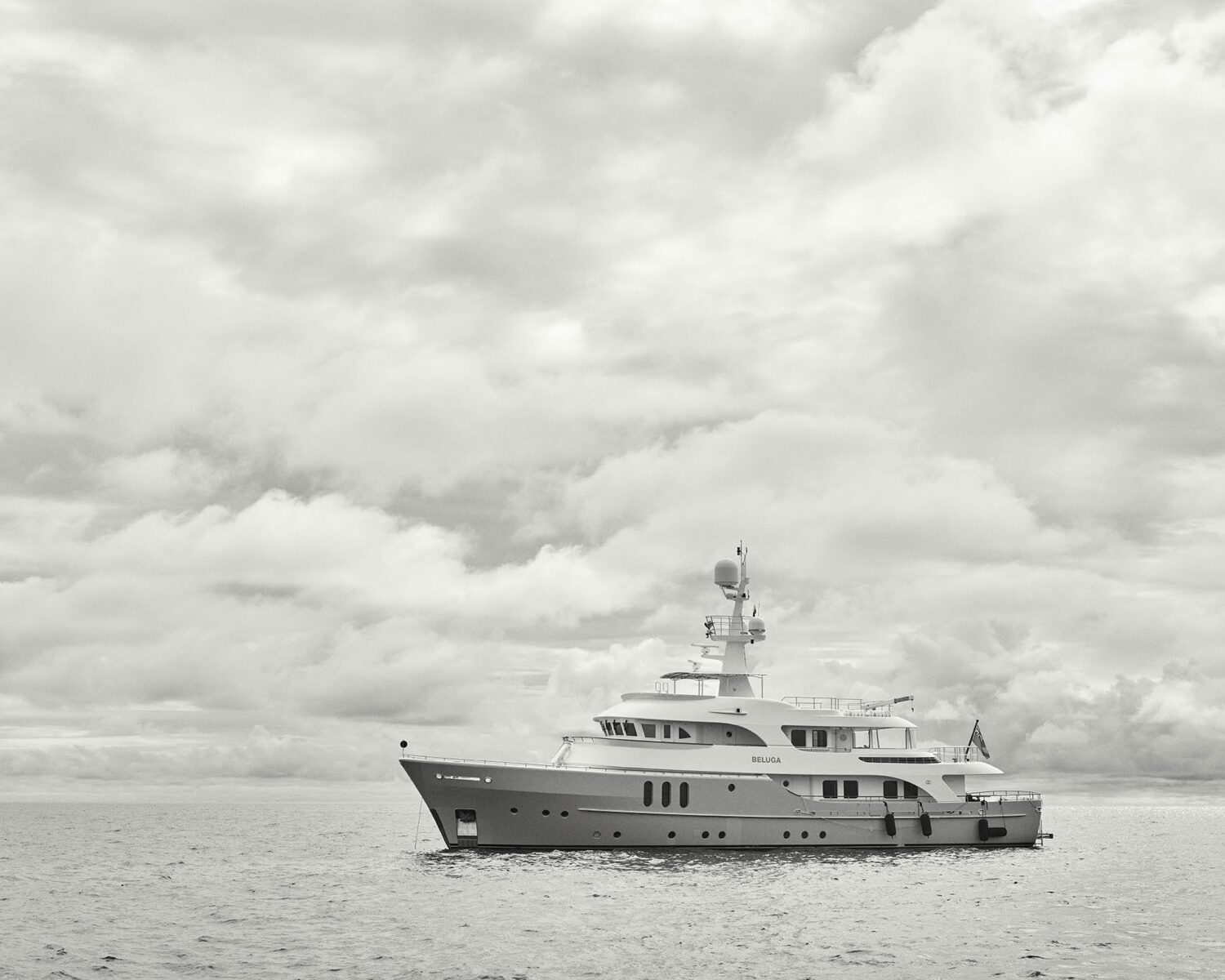 Beluga3