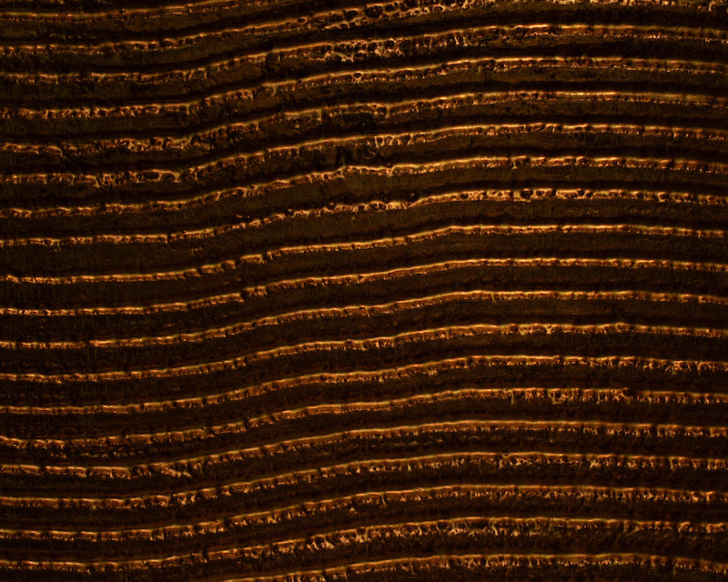 Spa detail (2)