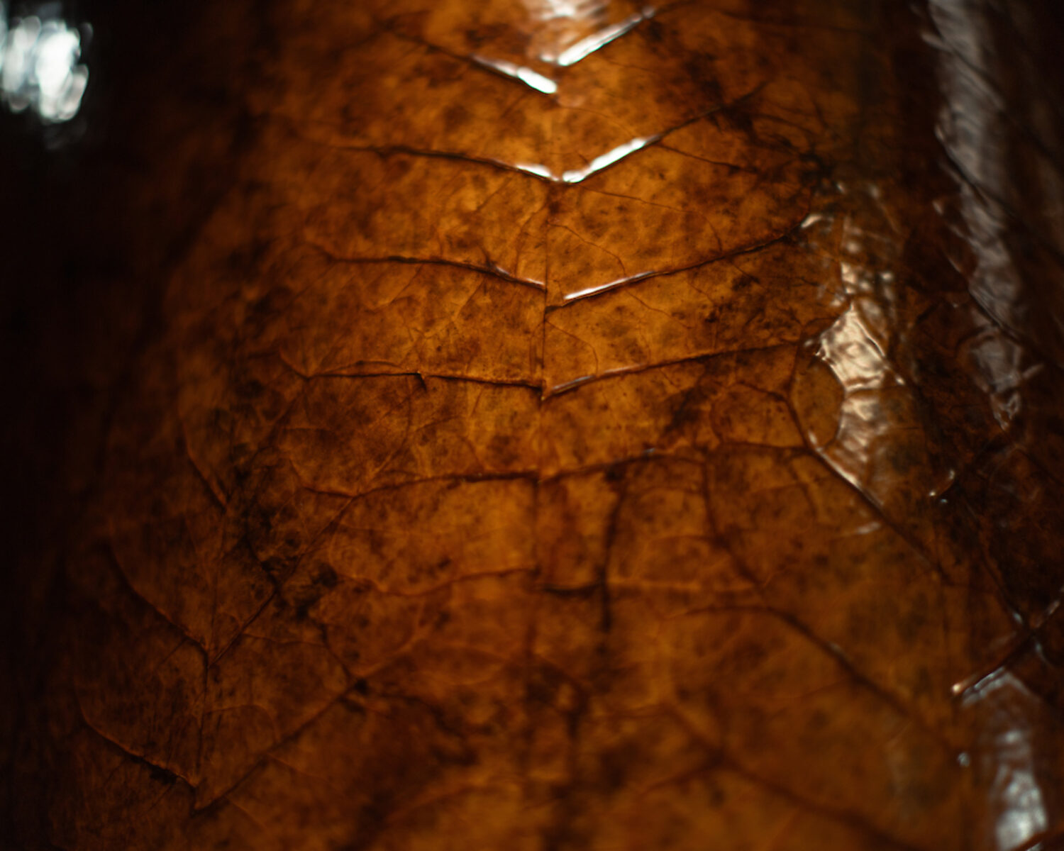 Stair details (5)